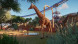 Игра Planet Zoo: Console Edition [PS5, английская версия] в Кемерово