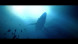 Игра Under The Waves [PS4, русские субтитры] в Кемерово