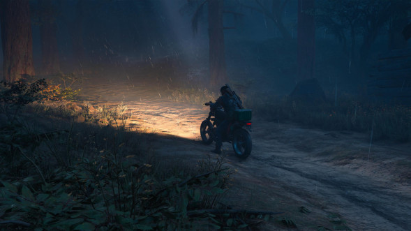Игра Жизнь После (Days Gone) [PS4, русская версия] в Кемерово